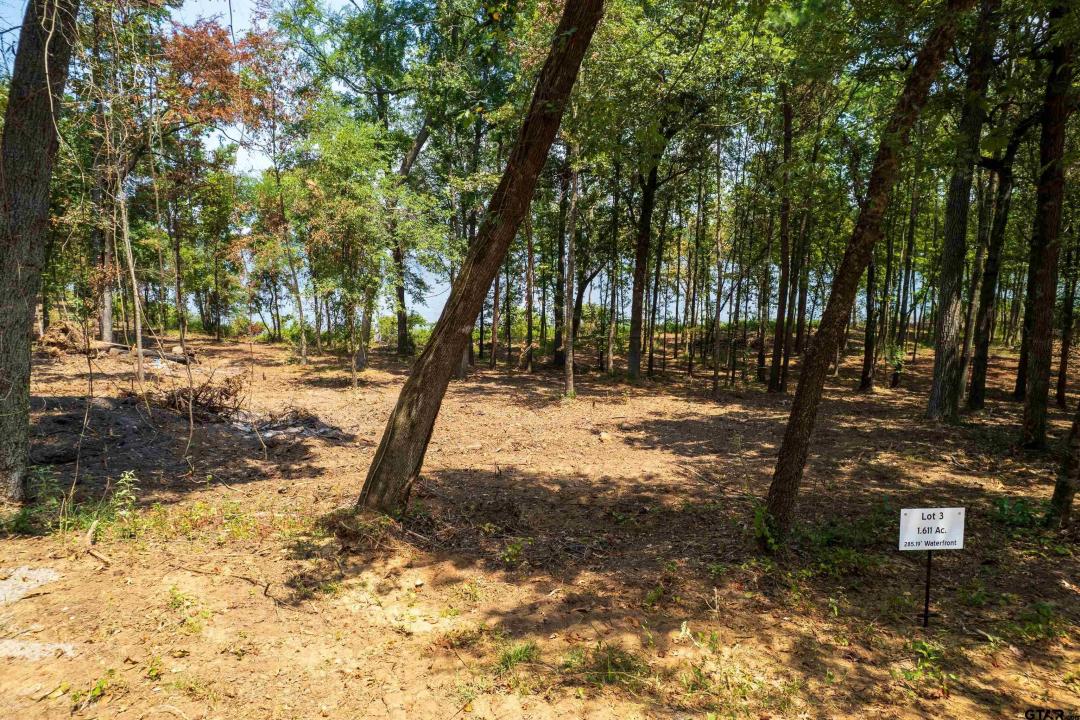 Lot 3 Big Oaks, Leesburg, Texas 75451, États-Unis