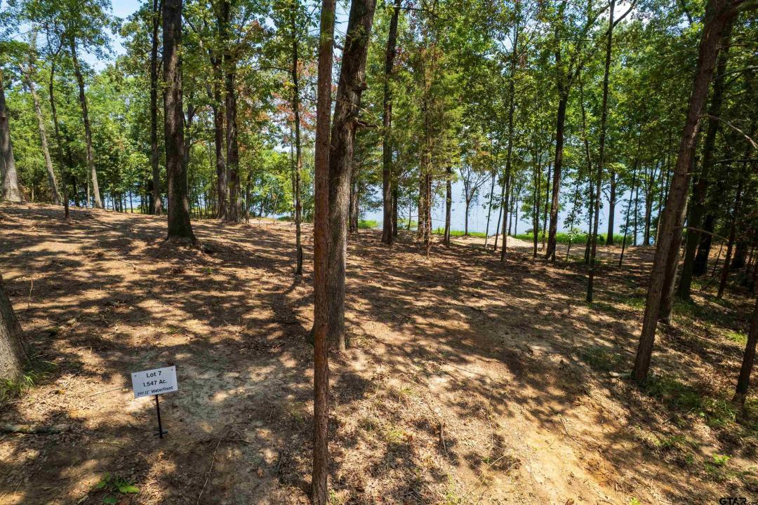 Lot 7 Big Oaks, Leesburg, Texas 75451, États-Unis