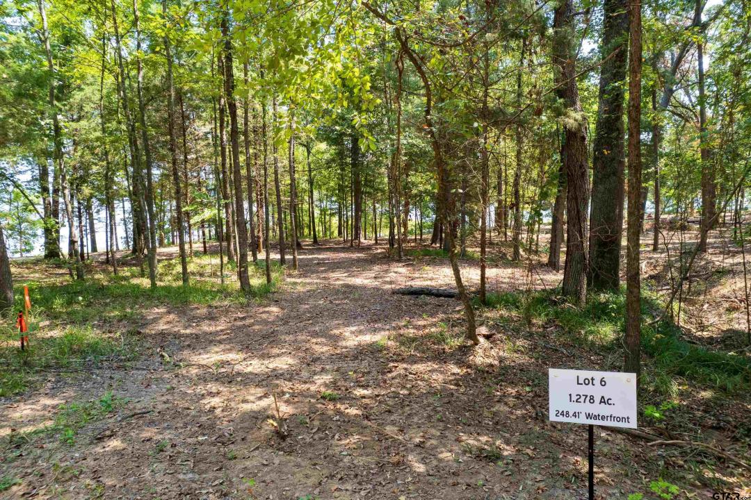 Lot 6 Big Oaks, Leesburg, Texas 75451, États-Unis