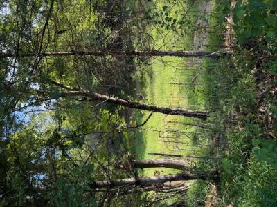 0 Huntington Drive, Bedford, Вирджиния 24523, Соединенные Штаты