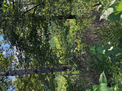 0 Huntington Drive, Bedford, Вирджиния 24523, Соединенные Штаты