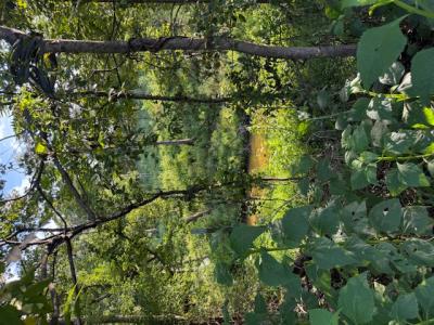 0 Huntington Drive, Bedford, Вирджиния 24523, Соединенные Штаты