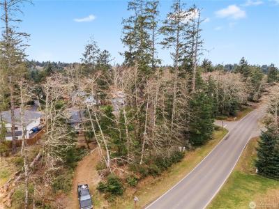 107 Duck Lake Dr SE, Ocean Shores, Washington 98569, États-Unis