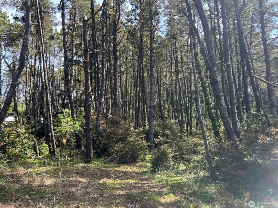 1011 231st Lot A Lane, Ocean Park, Washington 98640, Estados Unidos