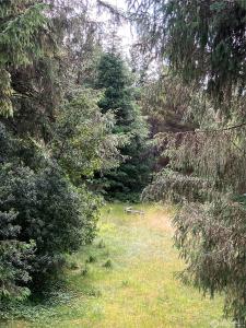 143rd Place, Long Beach, Washington 98631, Estados Unidos