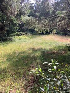 143rd Place, Long Beach, Washington 98631, Estados Unidos