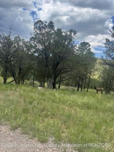 183 Corrida De Rio, Alto, New Mexico 88312, USA