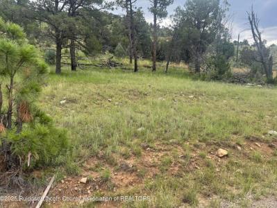 183 Corrida De Rio, Alto, New Mexico 88312, USA