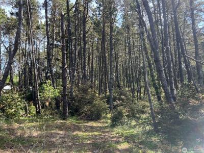 1011 231st Lot B Lane, Ocean Park, Washington 98640, Estados Unidos