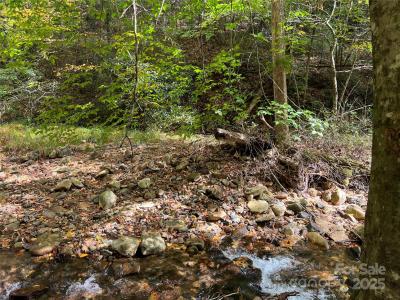 00 Low Gap Road, Hendersonville, 北卡罗来纳州 28792, 美国