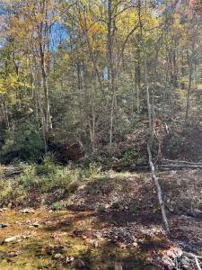 00 Low Gap Road, Hendersonville, 北卡罗来纳州 28792, 美国