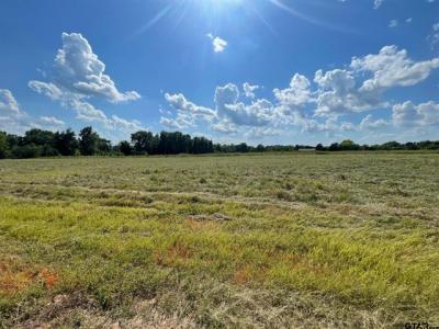 000 County Road 2375, Alba, Texas 75410, USA