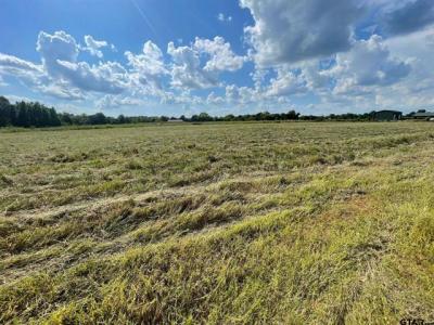 000 County Road 2375, Alba, Texas 75410