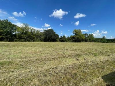 000 County Road 2375, Alba, Texas 75410