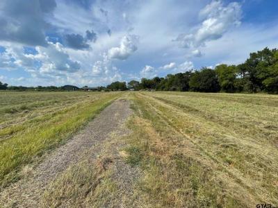 000 County Road 2375, Alba, Texas 75410
