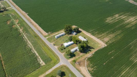 29481 State HWY B, Holcomb, 密蘇里州 63852, 美國