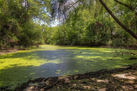 8088 FM 118, Commerce, Texas 75428, HOA KỲ