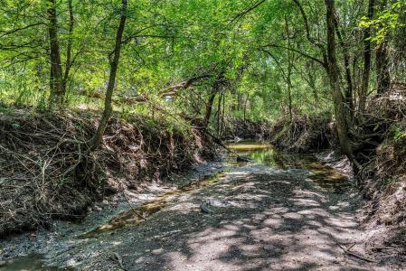 8088 FM 118, Commerce, Texas 75428, HOA KỲ