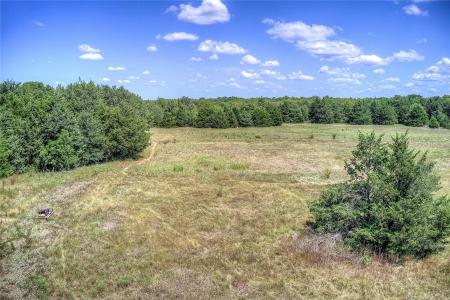 8088 FM 118, Commerce, Texas 75428, HOA KỲ