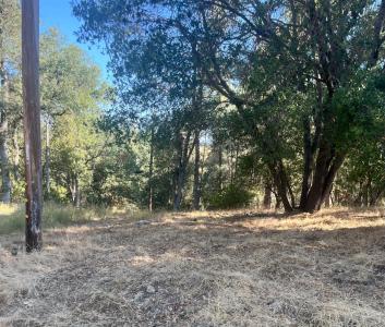 15316 Brannan Street, Clearlake, カリフォルニア 95422, アメリカ合衆国