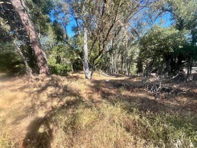 15316 Brannan Street, Clearlake, カリフォルニア 95422, アメリカ合衆国