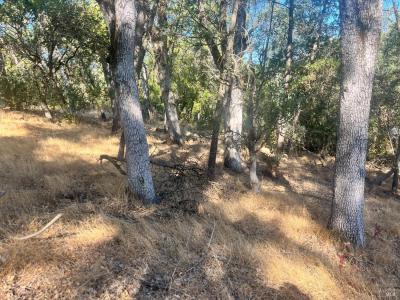 15316 Brannan Street, Clearlake, カリフォルニア 95422, アメリカ合衆国