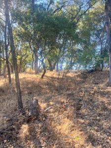 15316 Brannan Street, Clearlake, カリフォルニア 95422, アメリカ合衆国