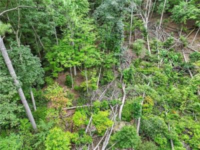 Lot268 VistaView Parkway, Jasper, Géorgie 30143, États-Unis