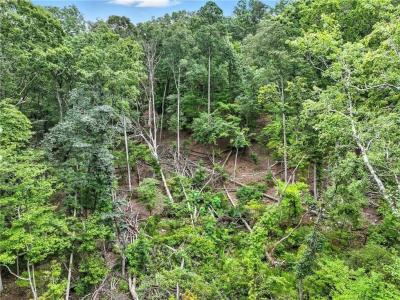 Lot268 VistaView Parkway, Jasper, Géorgie 30143, États-Unis