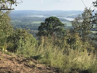 87 High Point Drive, Mayflower, 알칸사 72106, 미국