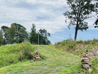 87 High Point Drive, Mayflower, 알칸사 72106, 미국