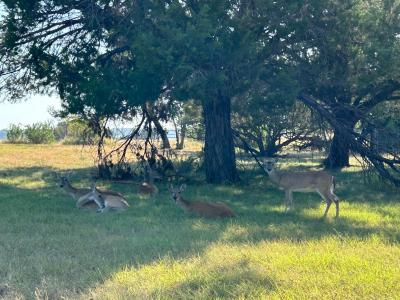 2220 Tye Valley, Harker Heights, Texas 76548, USA