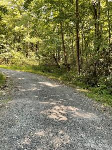 0 S Poplar Drive #162, Lake Lure, Caroline Du Nord 28746, États-Unis