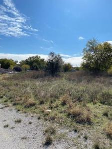 TBD Blackfoot Trail, Weatherford, 得克萨斯州 76087, 美国