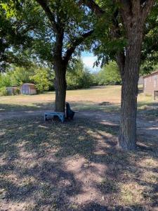 905 W Oak Street, Weatherford, 得克萨斯州 76086, 美国