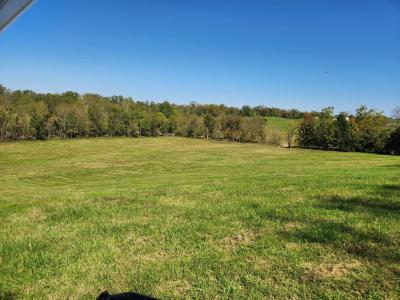 410 Murphys Lane, Flemingsburg, 肯塔基州 41041, 美国