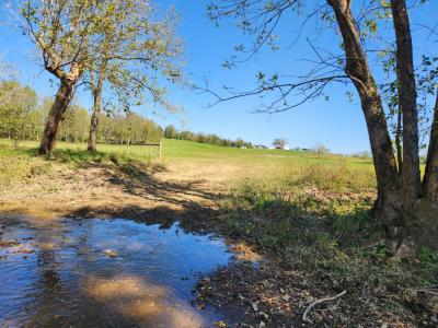 410 Murphys Lane, Flemingsburg, 肯塔基州 41041, 美国