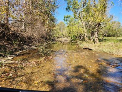 410 Murphys Lane, Flemingsburg, 肯塔基州 41041, 美国