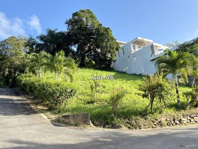 Roatán, Islas De La Bahía 34101, Honduras