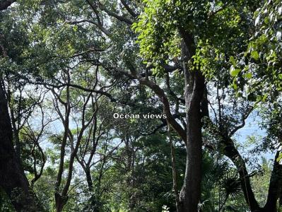 Roatán, Islas de la Bahía 34101, Honduras