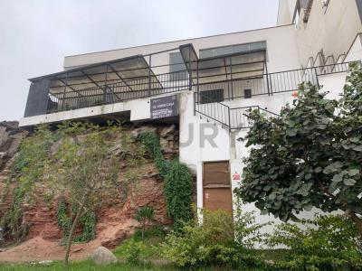 LOS AMANCAES /CRISTANTEMOS , Lima, Lima 00001, Peru