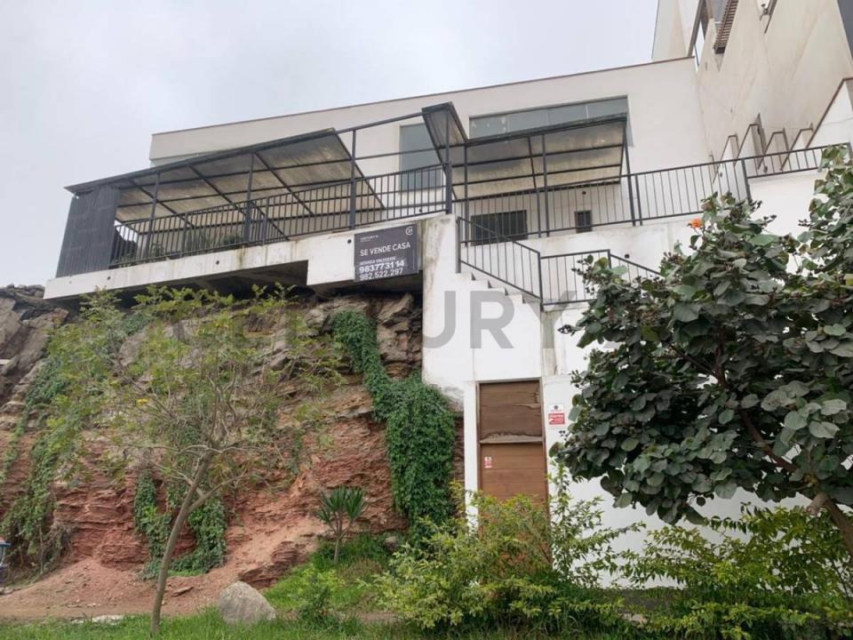 LOS AMANCAES /CRISTANTEMOS , Lima, Lima 00001, Peru