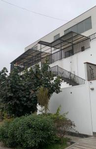 LOS AMANCAES /CRISTANTEMOS , Lima, Lima 00001, Peru