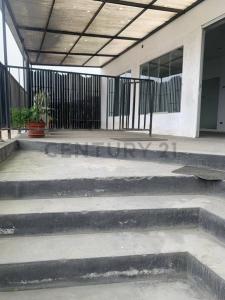 LOS AMANCAES /CRISTANTEMOS , Lima, Lima 00001, Peru