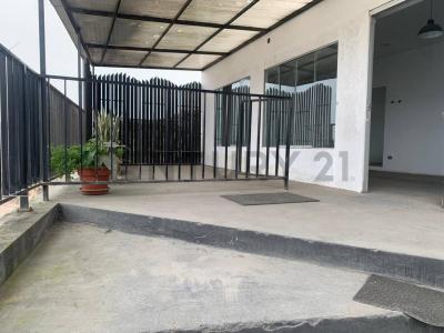 LOS AMANCAES /CRISTANTEMOS , Lima, Lima 00001, Peru