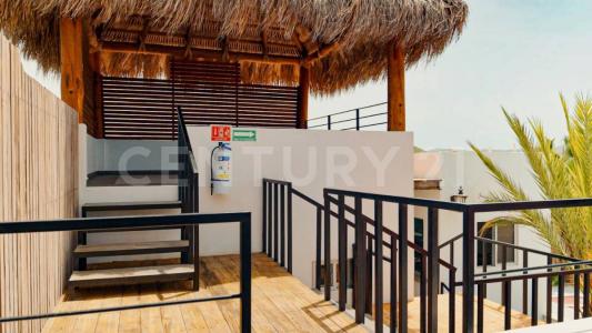 La Paz, Baja California Sur 23300, Mexico