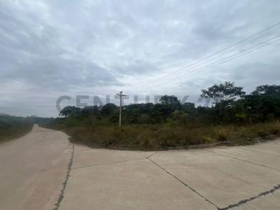 Urubo, Santa Cruz 00001, Bolivia