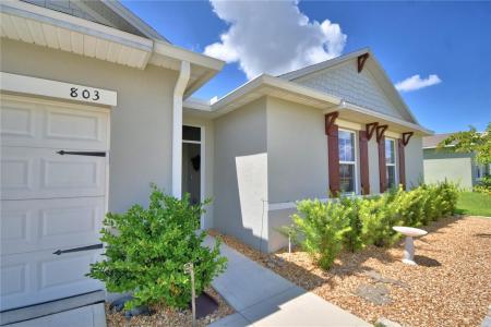 803 AUBURN GROVE COURT, AUBURNDALE, フロリダ 33823, アメリカ合衆国