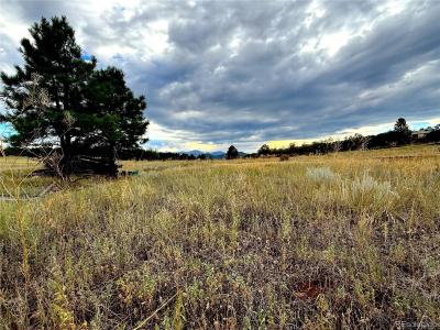 Tbd #2, 23rd Trail, Cotopaxi, Colorado 81223, Estados Unidos