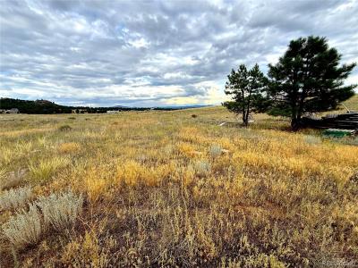 Tbd #2, 23rd Trail, Cotopaxi, Colorado 81223